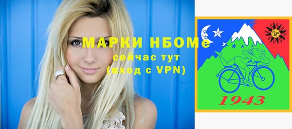 хмурый Няндома