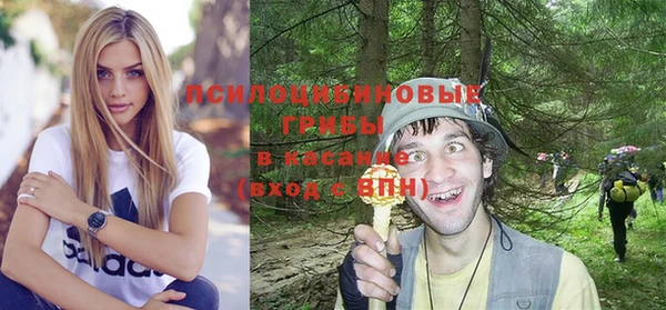 гашик Осинники