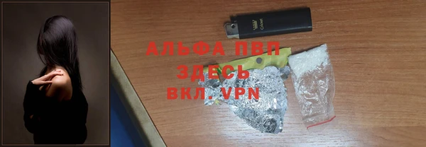 гашик Осинники