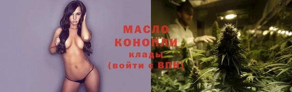 хмурый Няндома