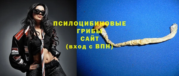 Альфа ПВП Нязепетровск