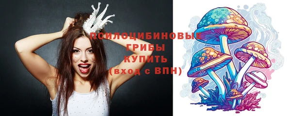 хмурый Няндома