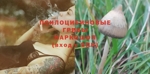 PSILOCYBIN Нягань